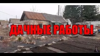 Снова НА ДАЧЕ работаем! ПЕРВЫЙ УРОЖАЙ!