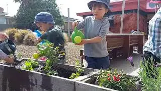 Understanding of Kaitiakitanga by looking after our environment - Learning Links Childcare