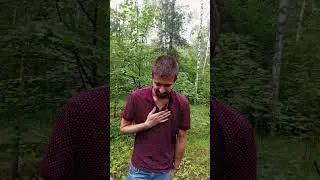 Находки старого леса.Сталкеры удачи.
