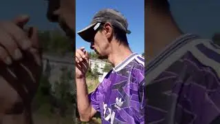Dj cristi caut.sclavi care miau furat contu prin lupeni