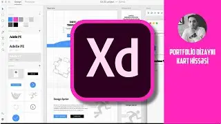 Adobe XD | Portfolio Dizayn (Kart hissəsi)