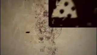 Uncharted Anniversary*