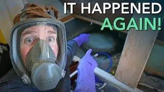 More Mold + Fixing Water Damage from an RV Leak