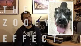 #28 - The Zooey Effect