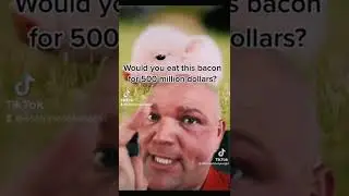 meme: would you eat this bacon for 500mil dollars?
