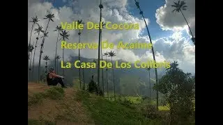 Valle Del Cocora - Reserva De Acaime - Casa De Los Colibris #2  - Alejo Trips