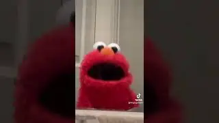 Elmo’s story!