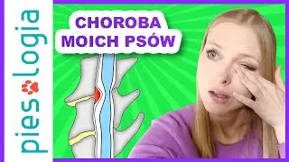 Choroba moich psów, czyli zespół Wobblera