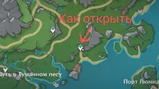 Скрытая точка телепортации, 4 сундука и 2 гидрокула в лесу Эриний Genshin Impact
