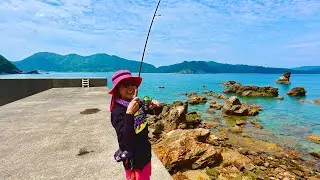 【エギング】甑島のポテンシャルは凄い‼ egging squid