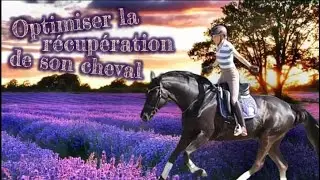 Lendemain de concours - Optimiser la récupération de son cheval [Physique, mental et émotionnel]