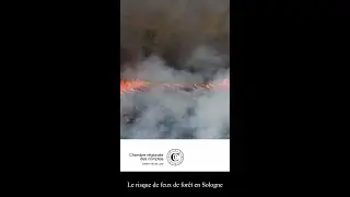 Cour des Comptes : gestion du risque de feu de forêt en Sologne par les SDIS région Centre