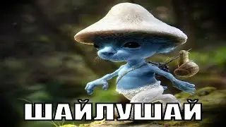 Шайлушай...