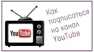 Как правильно подписаться на канал и получать уведомления
