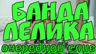 Деревенский дневник очень многодетной мамы - банда Лелика, очередной слив | Сплетница