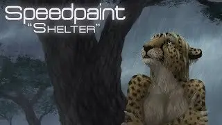 Speedpaint 