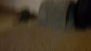 More about my kitty