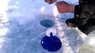 Тоже пусто