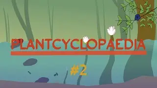 Lily pad tree | Worldbuilding