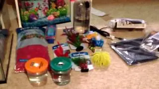 Big fish haul petsmart and Walmart !!! +New fish!!