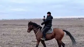 Бәйге тұлпары!!!!