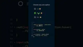 custom radio button html css