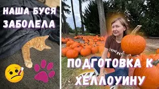 Готовимся к Хэллоуину, Заболела кошка, Неожиданный Велопробег.