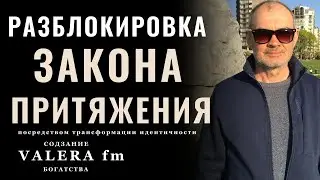 Мастерство Вибраций: Разблокировка Закона Притяжения Посредством Трансформации Идентичности