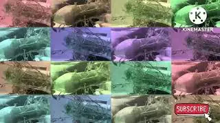 How to new Mentha Video