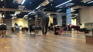 All Body Strong Yoga Workout｜ #praveenyogaacademy  |Master Praveen #hathayoga #motivation