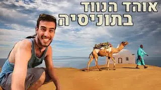 חגיגה יהודית במדינה מוסלמית עוינת! אוהד הנווד בתוניסיה
