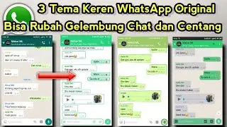 3 Tema WhatsApp Original Bisa Rubah Gelembung Chat Hijau Daun 2023