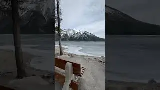 #canada #vlog #calgary #youtubeshorts #vlogger #calgarylife #banff #alberta #travel #travelvlog