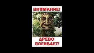 ГОВОРЯЩЕЕ  ДЕРЕВО УМИРАЕТ!!!