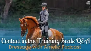 Contact in the Training Scale Q&A