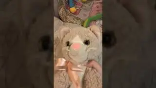 Кошка Мурка бежит от фрогги 