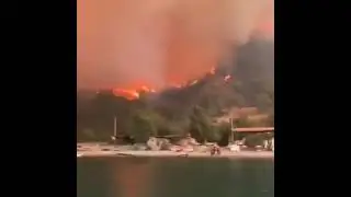 Страшные лесные пожары в Турции.