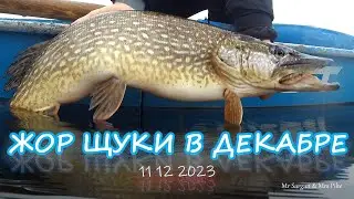 Жор щуки в декабре. 11 12 2023
