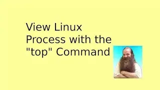 View Linux Processes with top