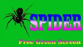SPIDER Free Green Screen