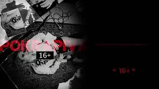 Полина Крапива - 16+ (official Audio)