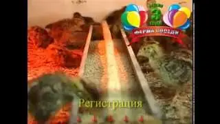 Поддержи отечественного производителя.