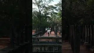 Explore the most beautiful ancient sites in Sri Lanka 🇱🇰 #srilanka #polonnaruwa #travel #asia