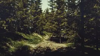Cinema4d Tutorial - create digital nature/forest render using Arnold renderer