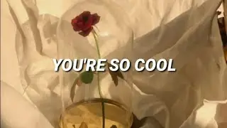Jonathan Bree - You're so Cool (Sub. Español/Inglés)