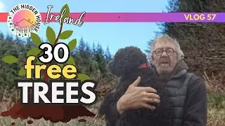 A blustery journey to collect FREE TREES to plant on our land