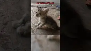 Mom! Why did you leave me here Alone ? 🥺
