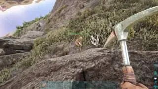 ARK: Survival Evolved - Funny Sabertooth Accident