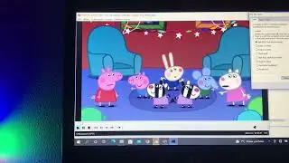 Zaza Zebra has BSOD