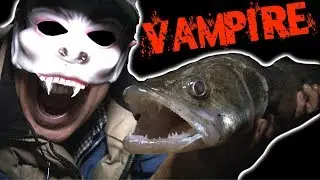 Fishing for VAMPIRE FISH - The Fish with FANGS!